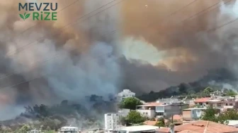 Kazdağları'nda Yangın Alarmı: Rüzgar Hızı 70 km'yi Geçiyor!
