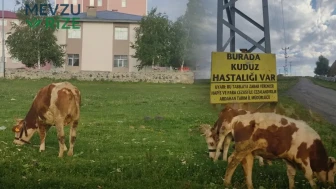 Kuduz Tehdidi Nedeniyle Ardahan'da Mahalle Karantinasına Alındı: Giriş ve Çıkışlar Yasaklandı