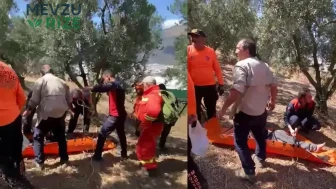 Bursa'da Kayıp Epilepsi Hastası, 36 Saat Sonra Zeytinlikte Bulundu!