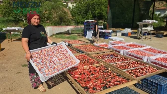 Güneş Işığı Olmadan Kurutulan İncir Cipsi ile İncirin Değeri 6 Kat Arttı!