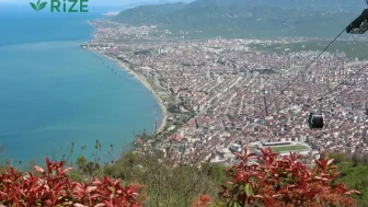 Ordu'da Ot Kültürü: Karadeniz'in Tarihsel Hazinesi Ortaya Çıkıyor!
