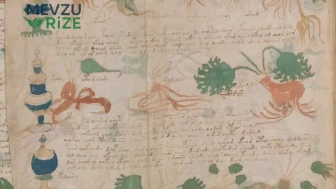 Voynich El Yazması: Sırrı Çözülemeyen Esrarengiz Metin mi?