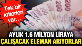 Aylık 1.6 milyon liraya çalışacak eleman arıyorlar: Tek bir kriterleri var