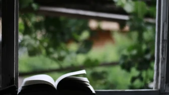 Edebiyat neden gerekli? İnsan ve hakikat üzerine
