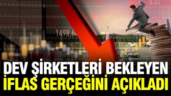 Naki Bakır, Büyük Şirketlerin Karşılaştığı İflas Tehditi Üzerine Değerlendirmelerde Bulundu