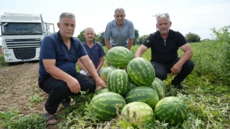 Tarladan Tezgaha Kadar Fiyatı Üç Katına Çıkan Bafra'nın Eşsiz Karpuzu ve Süheyla Kavunu Pazar Dolu!