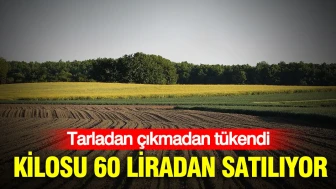 Tarladan sofraya ulaşmadan yok oldu: Fiyatı 60 liraya yükseldi!