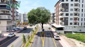 Görenler şaşkınlığını gizleyemiyor: Osmaniye'deki caddenin ortasındaki 200 yıllık sır