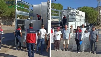 Söke'de İncir Üreticilerine Yüzde 50 Hibe Desteği Müjdesi!