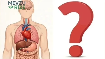 Vücudunuzun Verdiği Sinyallere Kulak Vermek: Hangi Belirtiler Önemli?