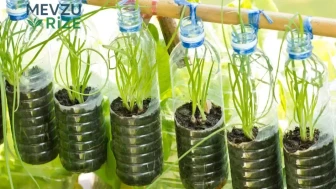 Plastik şişeleri çöpe atmayın: Evde işinize yarayacak 4 pratik fikir