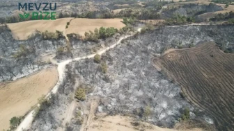 Adana'nın Kalabalık Mahallesinde Başlayan Yangın, Evleri ve Bahçeleri Alevlere Teslim Etti!