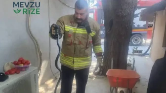 Antakya'da Evde Bulunan Yılan İtfaiye Ekipleri Tarafından Kurtarıldı ve Doğaya Salındı
