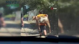"Yürekten Gelen Kahramanlık: Küçük Bir Kadın, Yangın Yerinden Oğlağını Sırtında Kurtardı"
