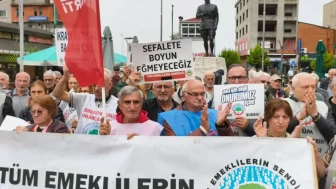 Tüm Emeklilerin Sendikası: 'Emeklileri bu düzene mahkum eden AKP iktidarıdır'