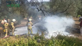 Bursa'da korkunç kaza: Zeytinliğe çarpan araçta yangın çıktı, 1 ölü 5 yaralı!