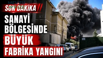 Tuzla'da Deri Sanayi Bölgesi'nde Dev Yangın Paniğe Neden Oldu