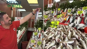Balık Sezonu Palamutla Başladı: Tezgahlarda Görülen Bolluk Göz Doldurdu!