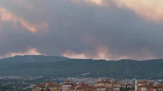 Muğla'da Yangın Alarmı: Ekipler Alevlerle Mücadele Ediyor