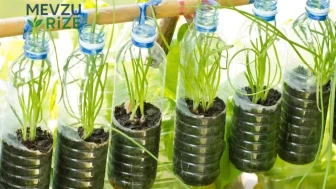 Plastik şişeleri çöpe atmayın: Evde işinize yarayacak 4 pratik fikir