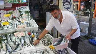 Balık fiyatları çakıldı: Hamsi 200, palamut 100 TL! Balık tezgahları doldu taştı.