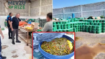 Mersin zabıtasından iğrenç tuzağa baskın... Markalı etiket basıp millete satacaklardı! Çöp sularının içinde tonlarca küflü turşu ele geçirildi