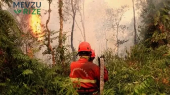 Aylardır sönmeyen yangınlar felakete dönüştü! 175 bin kişi hastanelik oldu: Ülkeyi zehirli duman kapladı