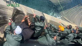 Karadeniz’de Balık Avı Sezonu Coşkuyla Başladı: İlk Ağlar Denizle Buluştu!