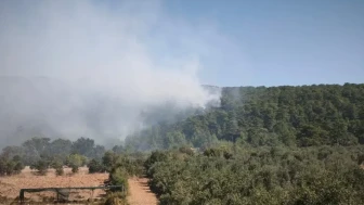 Muğla'da orman yangını: Alevler Menteşe'den Ula'ya ulaştı! Kara yolu trafiğe kapatıldı