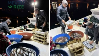 Palamut Mevsimi Şahane Geçiyor: Balıkçılar 24 Saat Denizde!