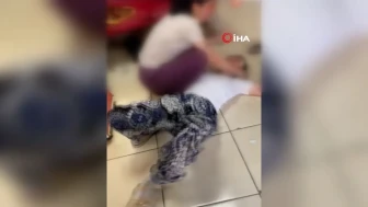 Adana'da Hırsızlık Şüphesiyle Gözaltına Alınan Kadından Nüfusu Şaşkına Çeviren Sara Nöbeti Oyunu!