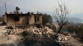 Adana'da Üç Gün Süren Yangın Felaketi: "Her Şeyimi Kaybettim"