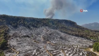 Antalya'daki orman yangını 4'üncü gününde kontrol altına alındı