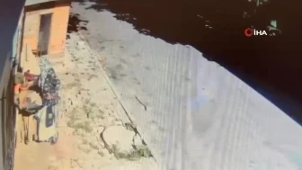 Arnavutköy'de saksıdaki çiçekleri çalan kadın kamerada: ''Kaynanamın en sevdiği çiçekti"