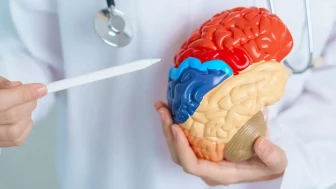 Bilim insanları insan beynine dair ne keşfetti ? İnsan beynindeki 'beklenmedik yapı' ne ?
