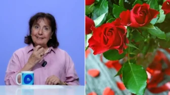 Bir koku hafızanızı güçlendirebilir! Ayten Altıntaş kadim tıbbın gül reçetesini açıkladı