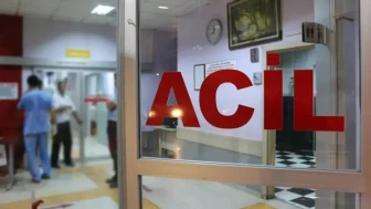 Bitlis'te arı kovanı yüklü kamyonet refüje çarpıp devrildi : 3 yaralı