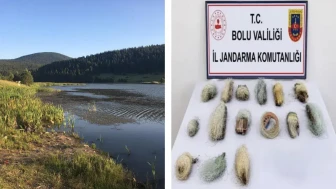 Bolu'da gölette kaçak avcılık denetimi : 22,5 metre ağ ele geçirildi