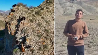 Çobanlıkta çığır açtı: 'Tekno çoban' sürüsünü drone ile yönetiyor