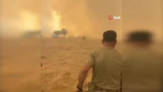 Diyarbakır Silvan'da ormanlık alanda yangın çıktı