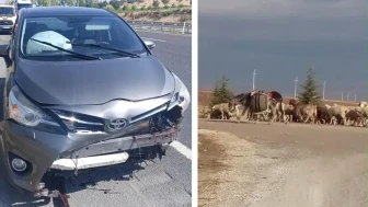 Eskişehir'de yola fırlayan koyuna çarpan otomobil kaza yaptı