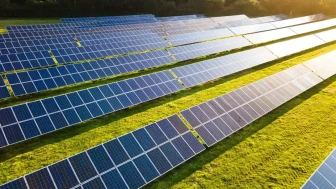 Güneş Panellerinin Gölgesinde Safran Tarımı: Çiftçiler İçin Yenilikçi Bir Çözüm