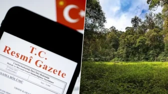 Resmî Gazete'de yayımlandı! 27 ilde dev karar: Bazı alanlar orman sınırları dışına çıkarıldı