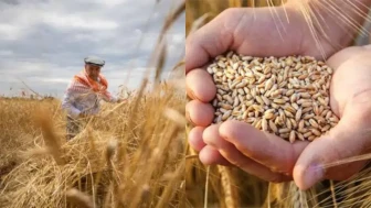 Tarım Ürünleri Fiyat Endeksi'nde Ağustos Rakamları Belirlendi: Yıllık Artış Oranı %21,91 olarak kaydedildi.