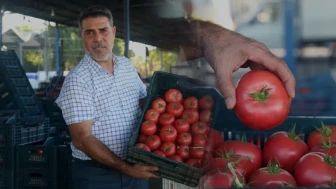 Tarlada 15 TL, Markette 100 TL: Fiyat Farkının Arkasında Yatan Sebepler!