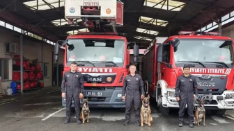 Trabzon'da arama kurtarma köpekleri için özel eğitim ! 20 kurumdan 40 personel ve 70 köpek katıldı