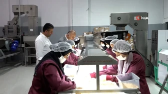Sakarya'da tüm köyün ortak olduğu fabrikada fındık üretiliyor