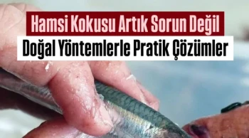 Hamsi Kokusu Artık Sorun Değil: Doğal Yöntemlerle Balık Kokusuna Pratik Çözümler