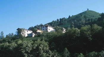 Rize, Kuş Gözlemciliğinde Karadeniz’in Yükselen Yıldızı