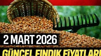 2 Mart 2026 güncel fındık fiyatları